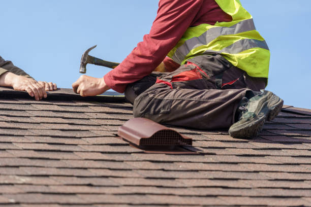 Best Residential Roof Replacement  in USA